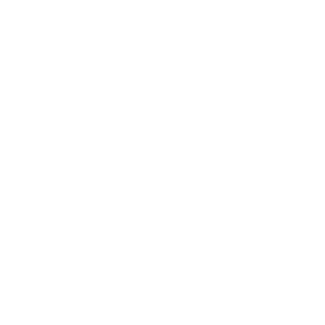 EVO_2