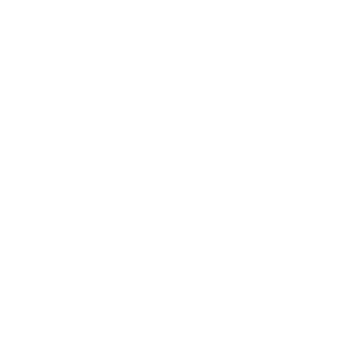 ליווי אסטרטגי, ייעוץ, פיתוח תהליכי חברה ויעילות דרך אוטומציה ואינטגרציות