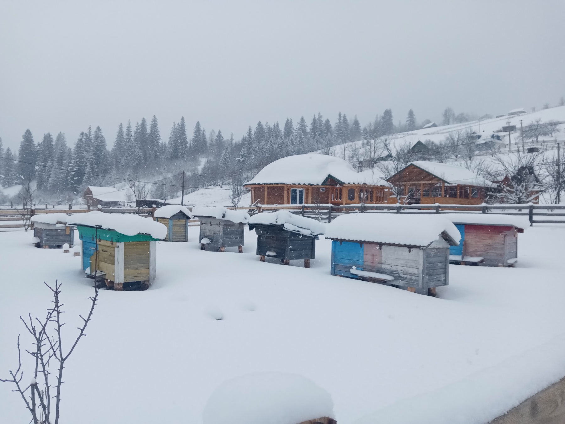 izobrazhenie_viber_2023-06-16_10-19-38-784