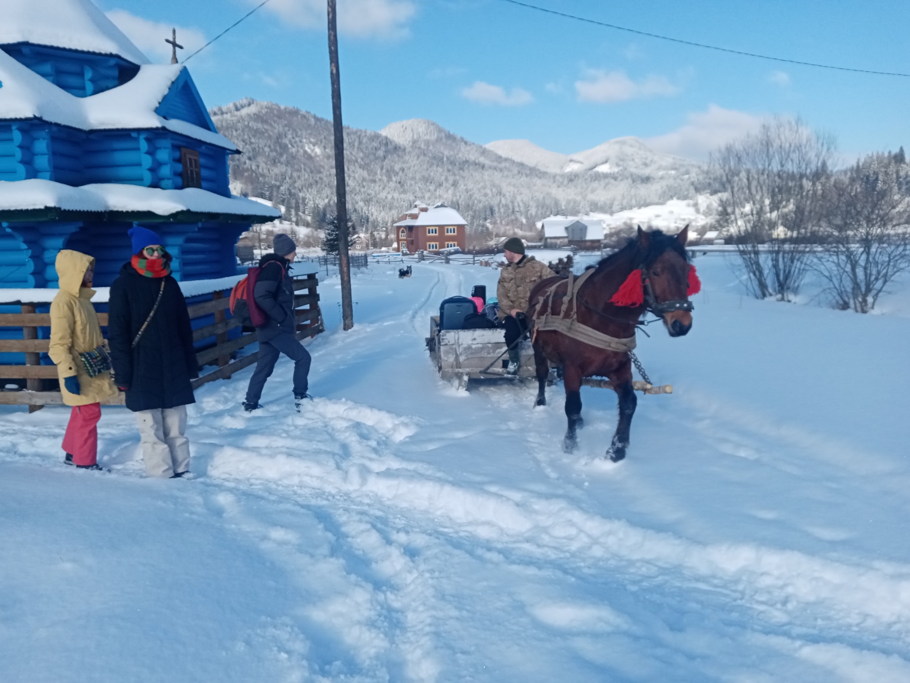 izobrazhenie_viber_2023-06-16_10-19-40-408