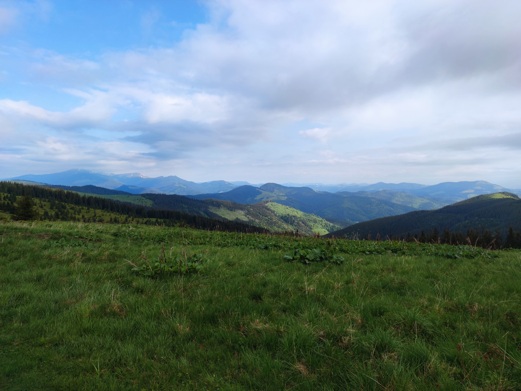 izobrazhenie_viber_2023-06-15_10-18-11-392