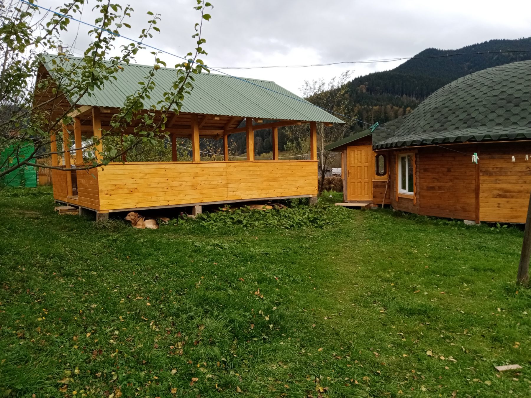 izobrazhenie_viber_2023-06-16_10-21-29-412