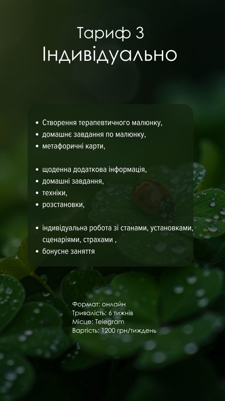 photo_2024-10-14_00-49-08