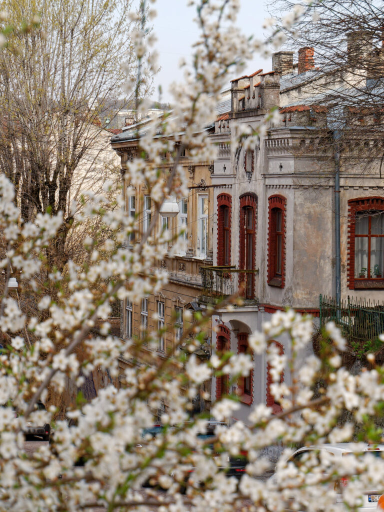 178412367_4534362649931360_6153264041245399306_n