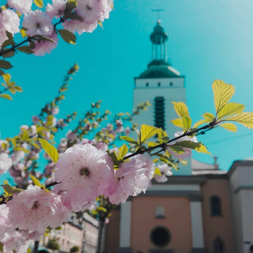 56382719_2545381602142711_2896016917783379968_n