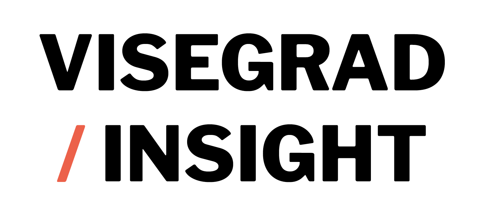 2021_Visegrad_Insight_Avatar