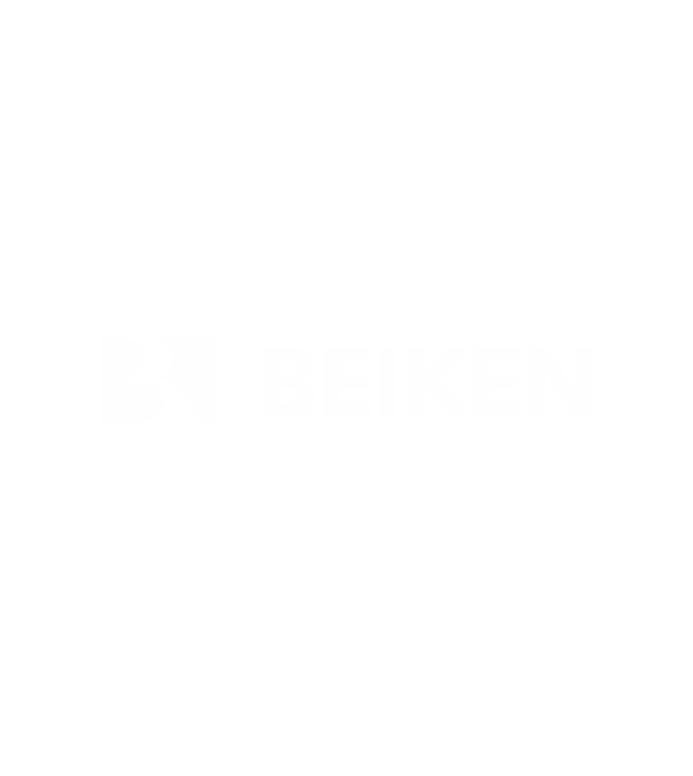 4_Beiken_Logo_sayt_2025