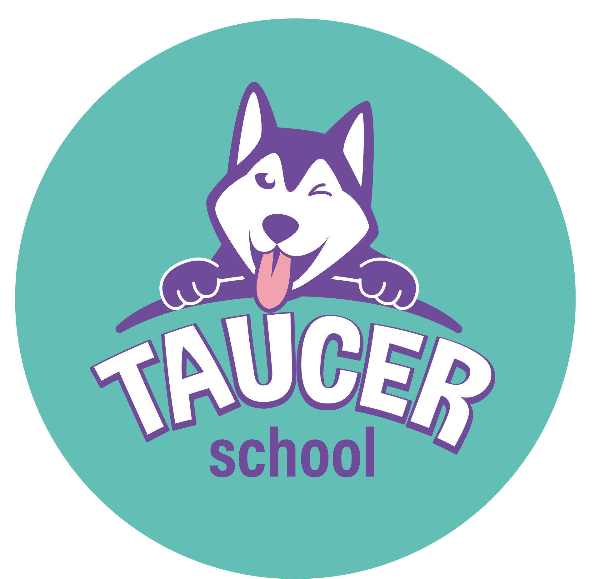 logo_TAUCER_1