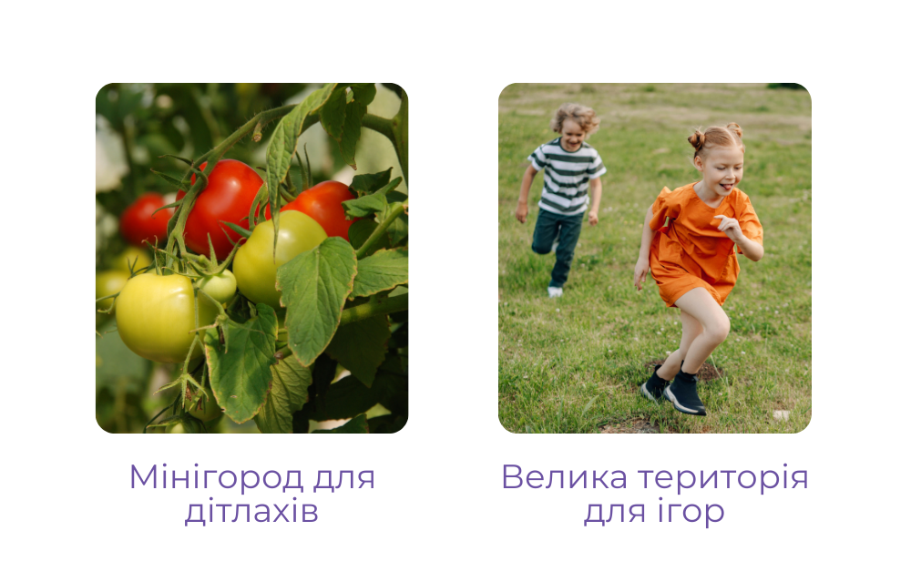 Navy_Red_Star_Badge_Simple_Security_ID_Card_30