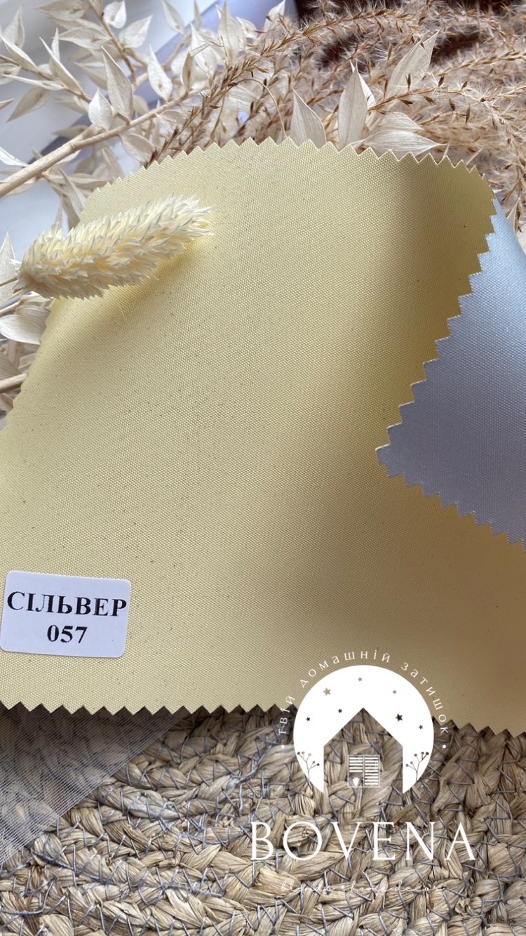 97CBAA77-B0AA-49D5-9400-15DF02479922