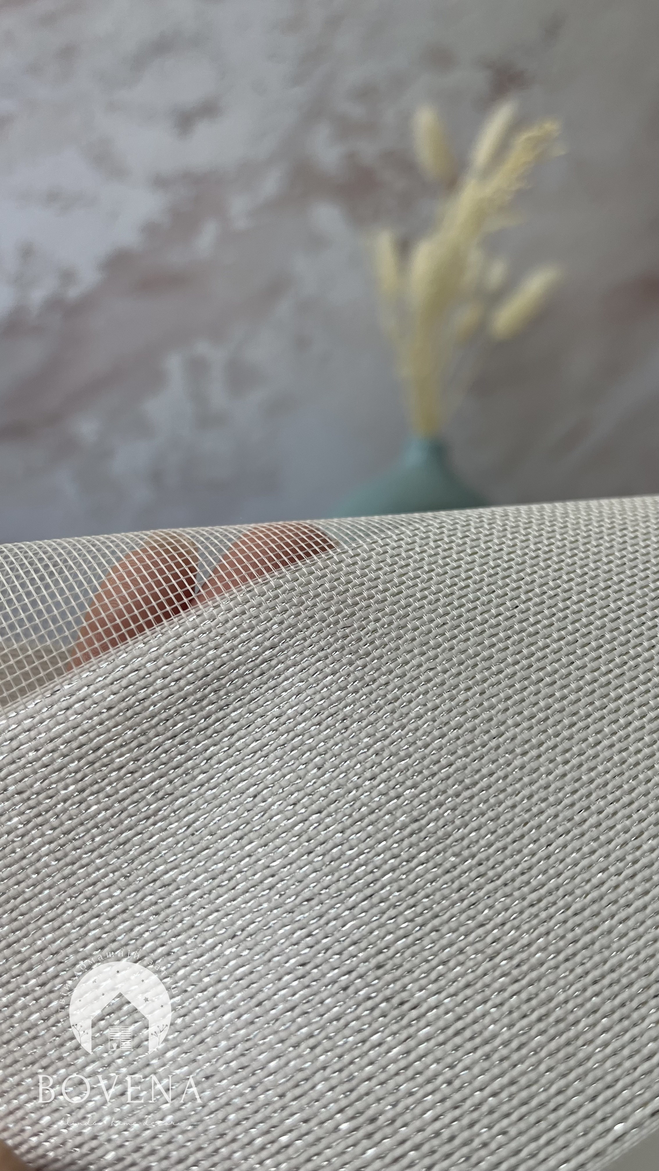 Den_nich_biliy_z_sriblom