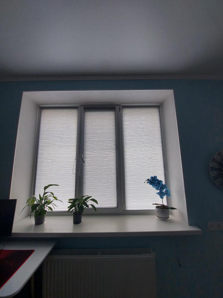 Melanzh_4