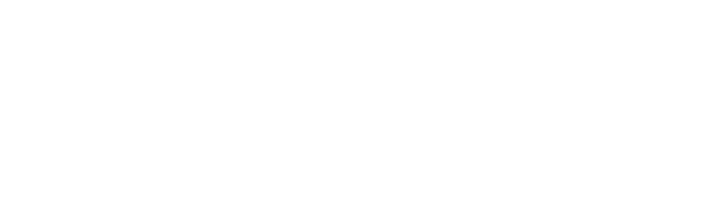 logo-V2