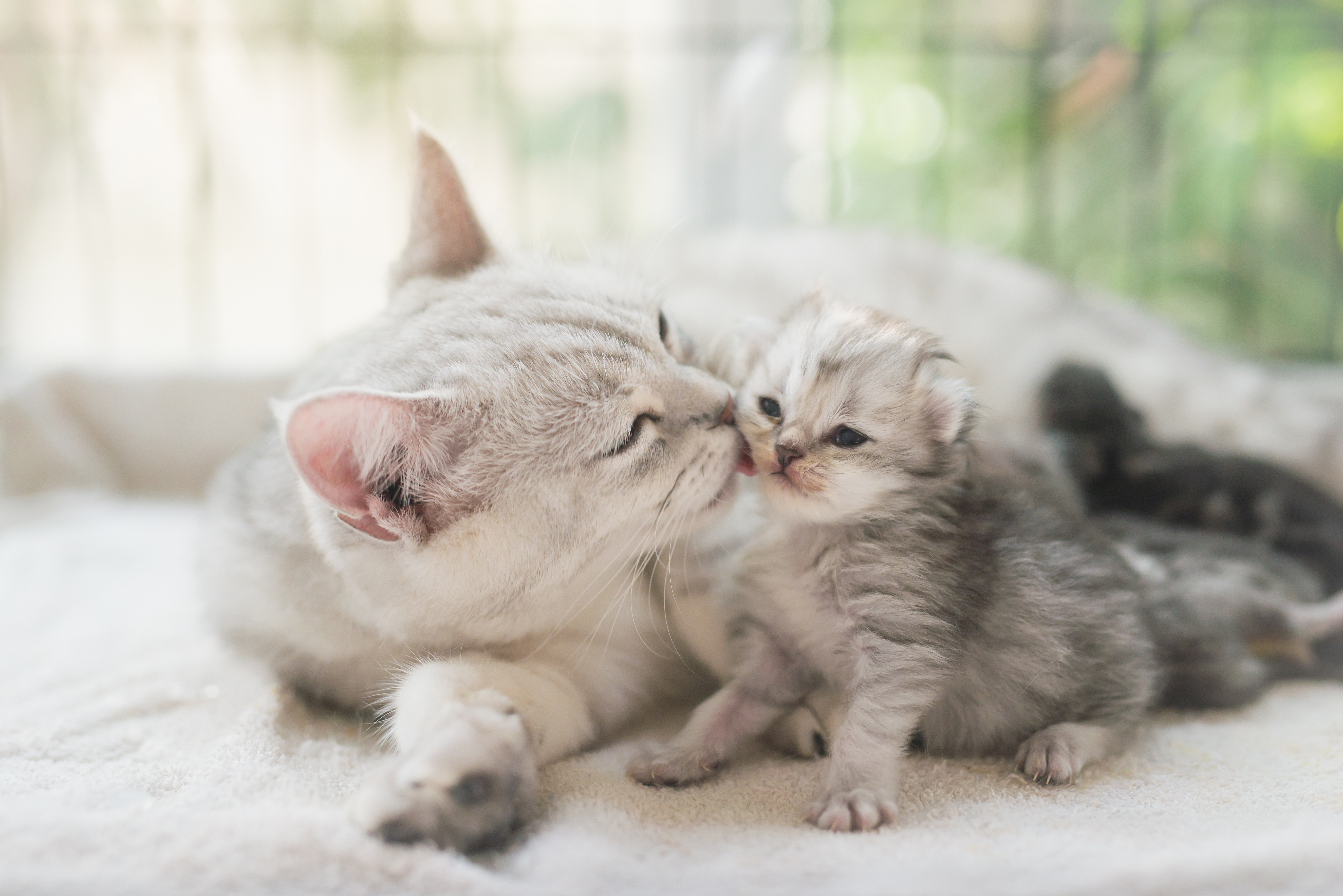AdobeStock_166977903