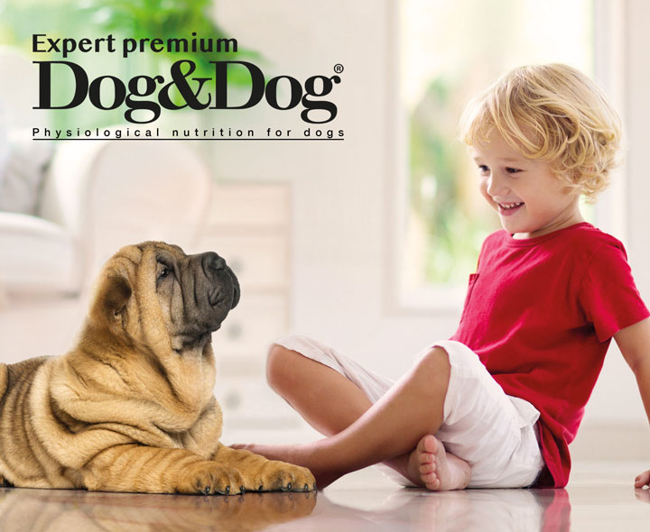 immagine-grande-dog-dog-expertpremium-en-scaled-1
