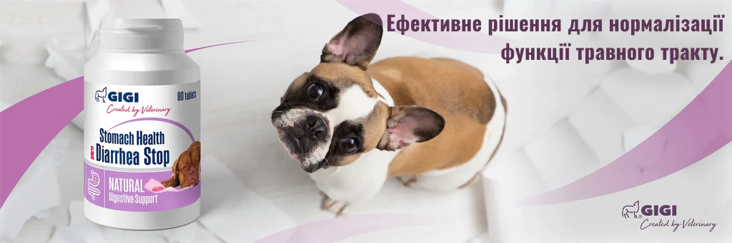 EFFECTIVE_SOLUTION_FOR_STOMACH_HEALTH