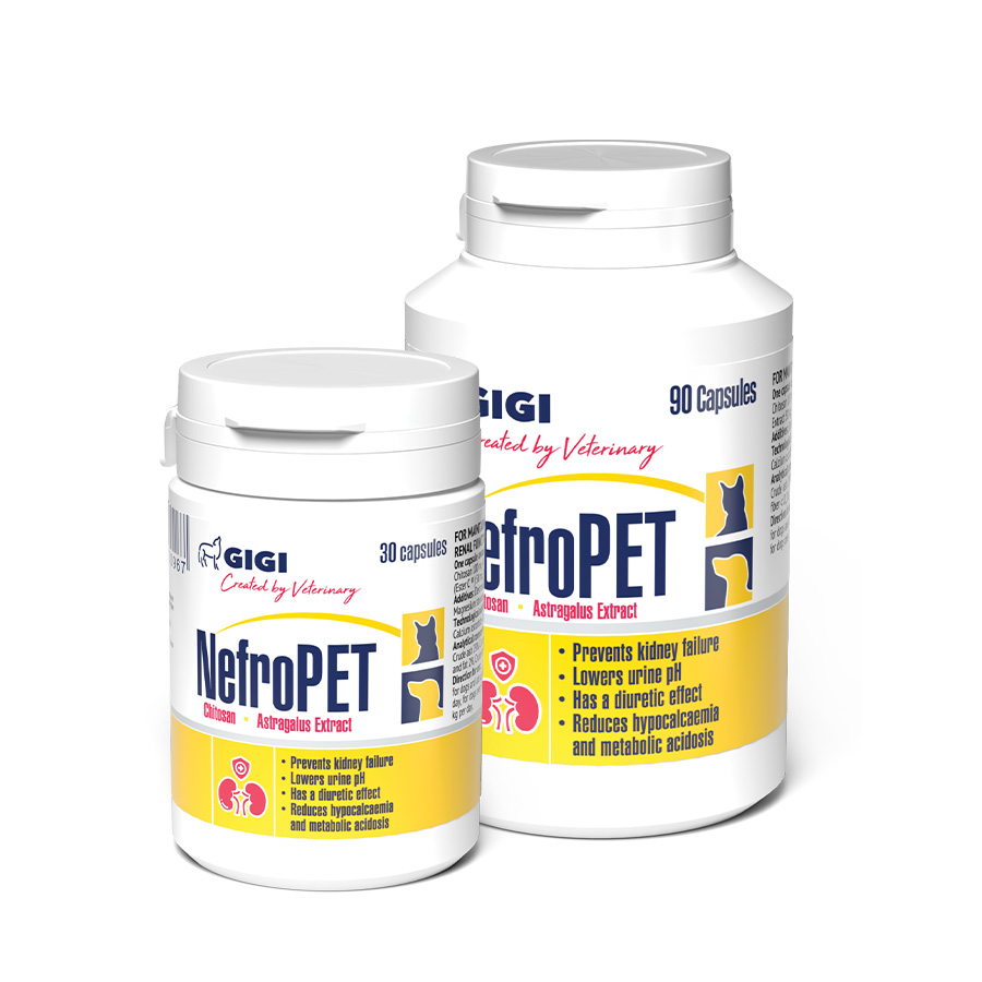 NefroPET