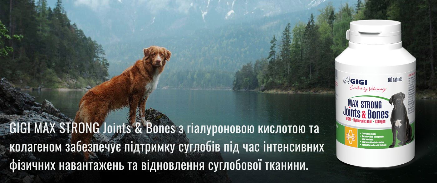 The_ultimate_formula_for_joint_bone_protection_and_health