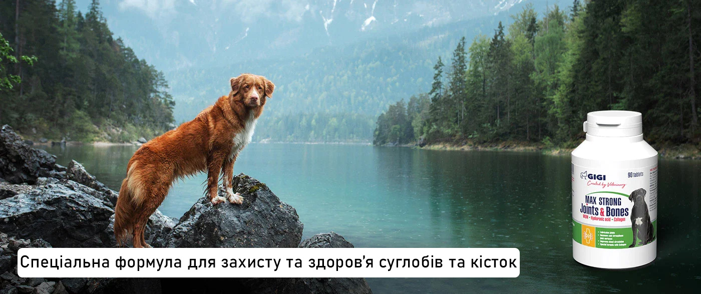 ultimate-protection-for-joints-and-bones