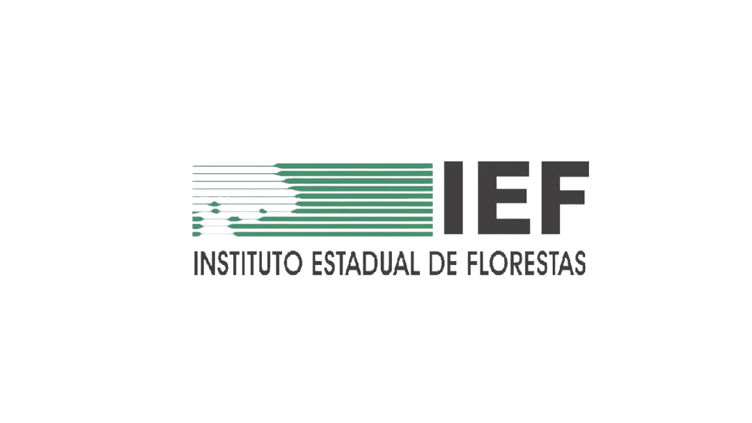 IEF