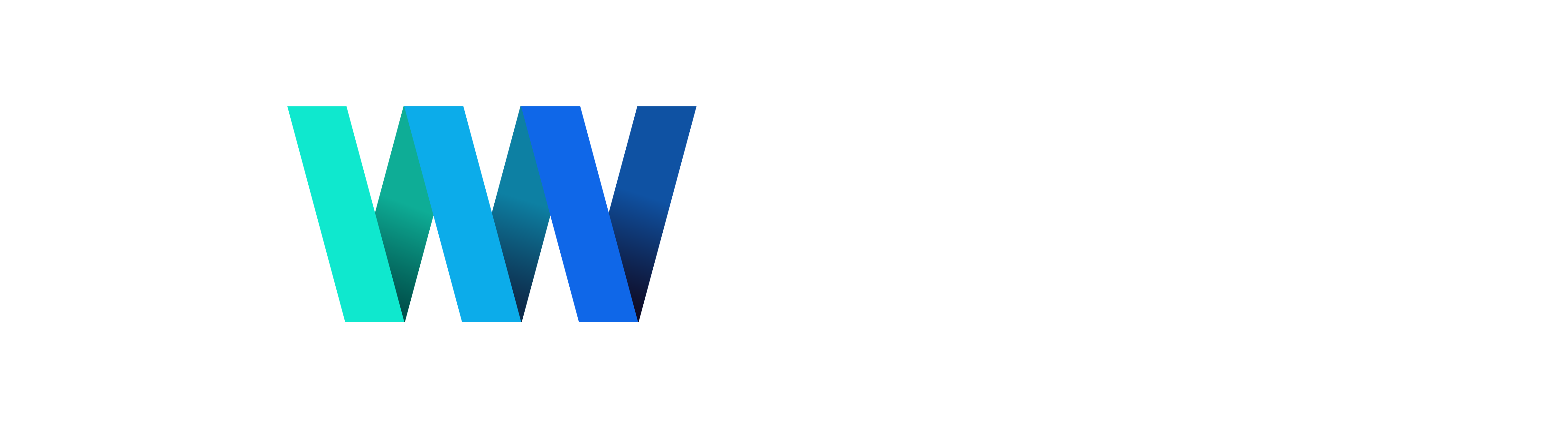 VMVGROUP_HORIZONTAL_COLORIDA_NEGATIVA_1_copiar