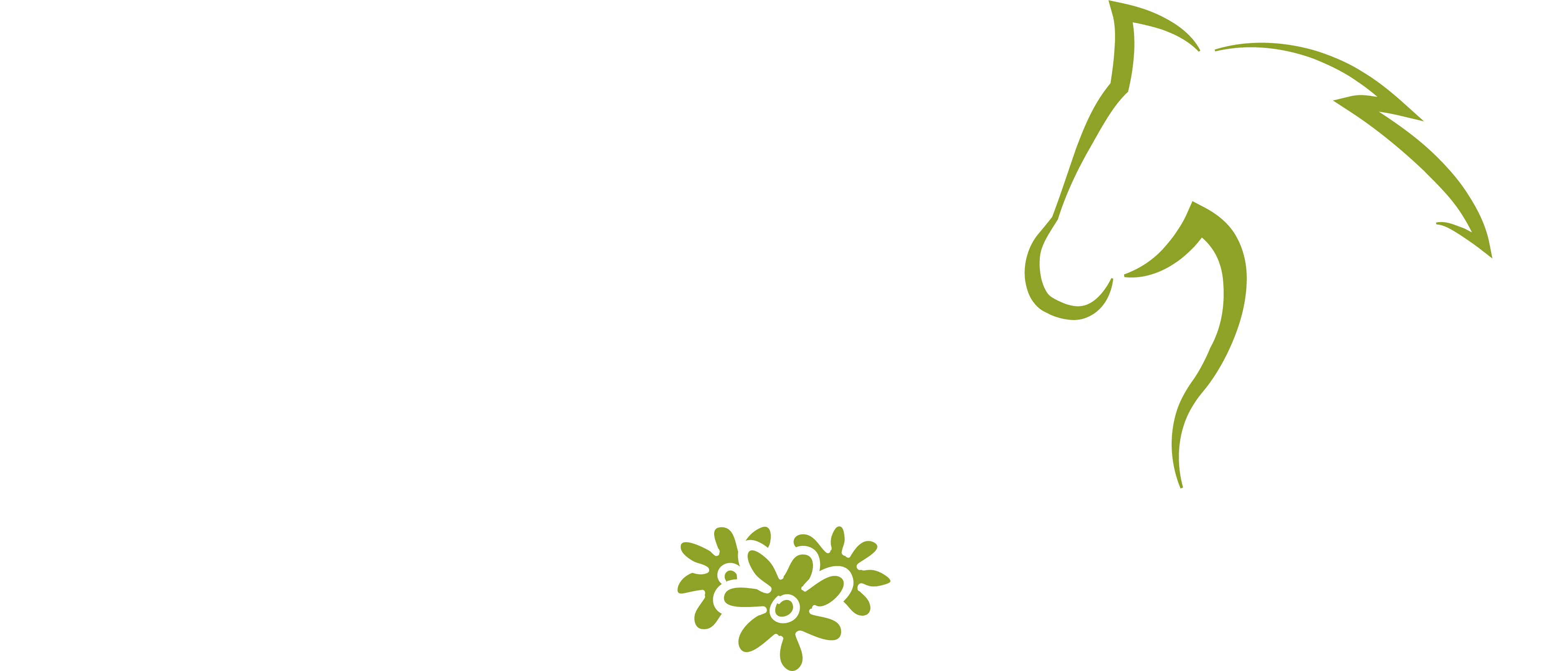 condadoslogo2