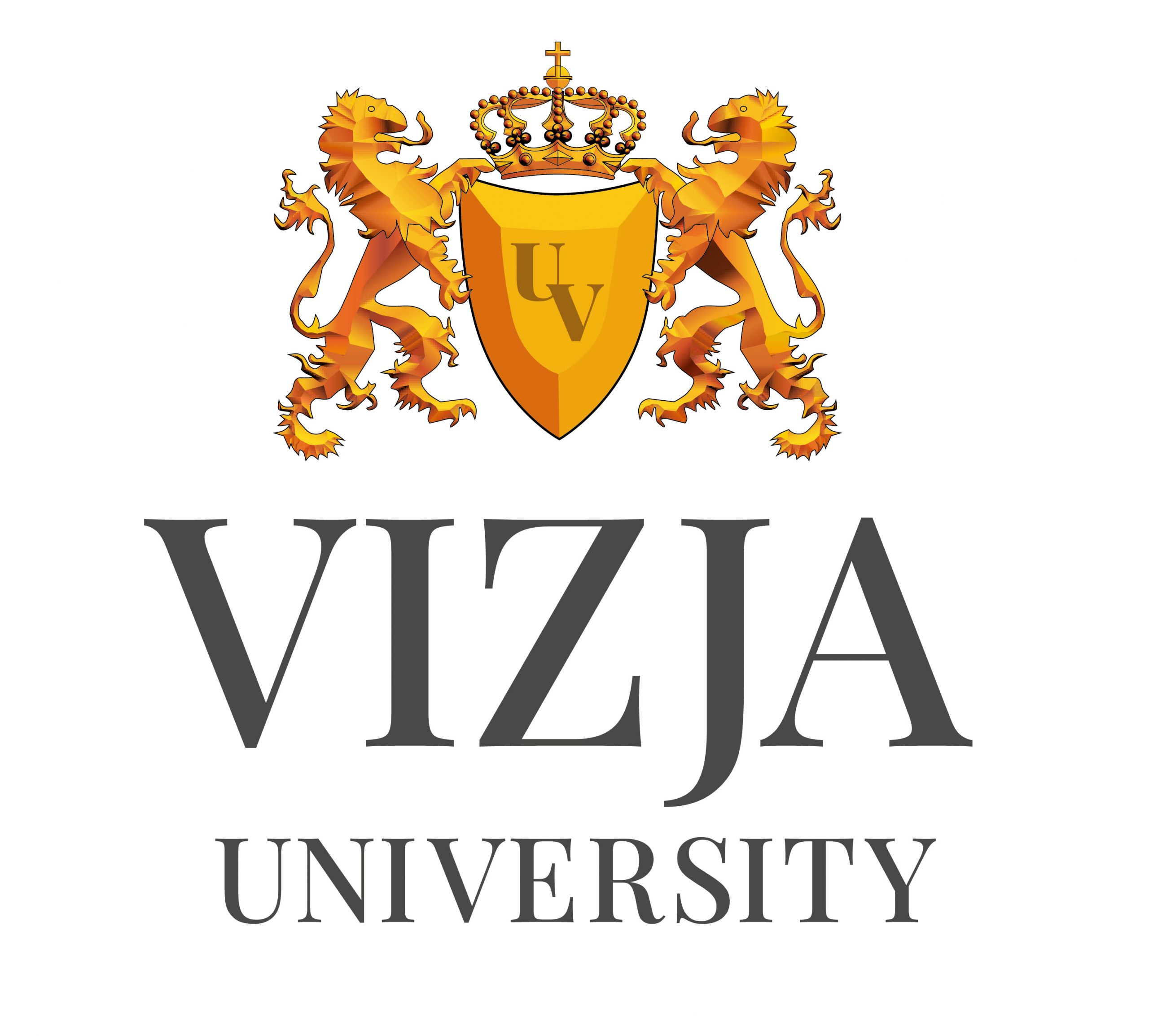 Logo_VizjaUniversytet_pion_wersjapodstnina-01-scaled