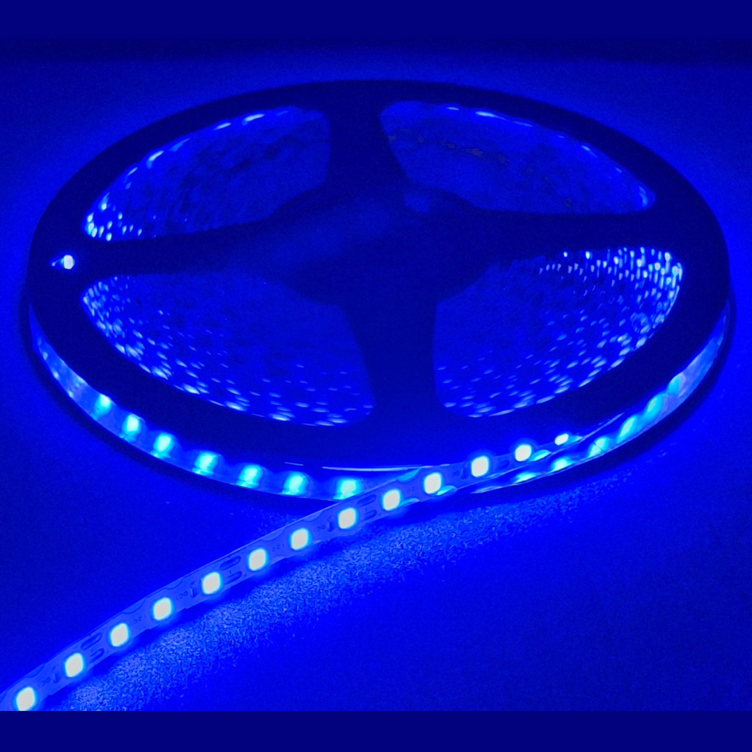 s_strichka_blue_elfled_on