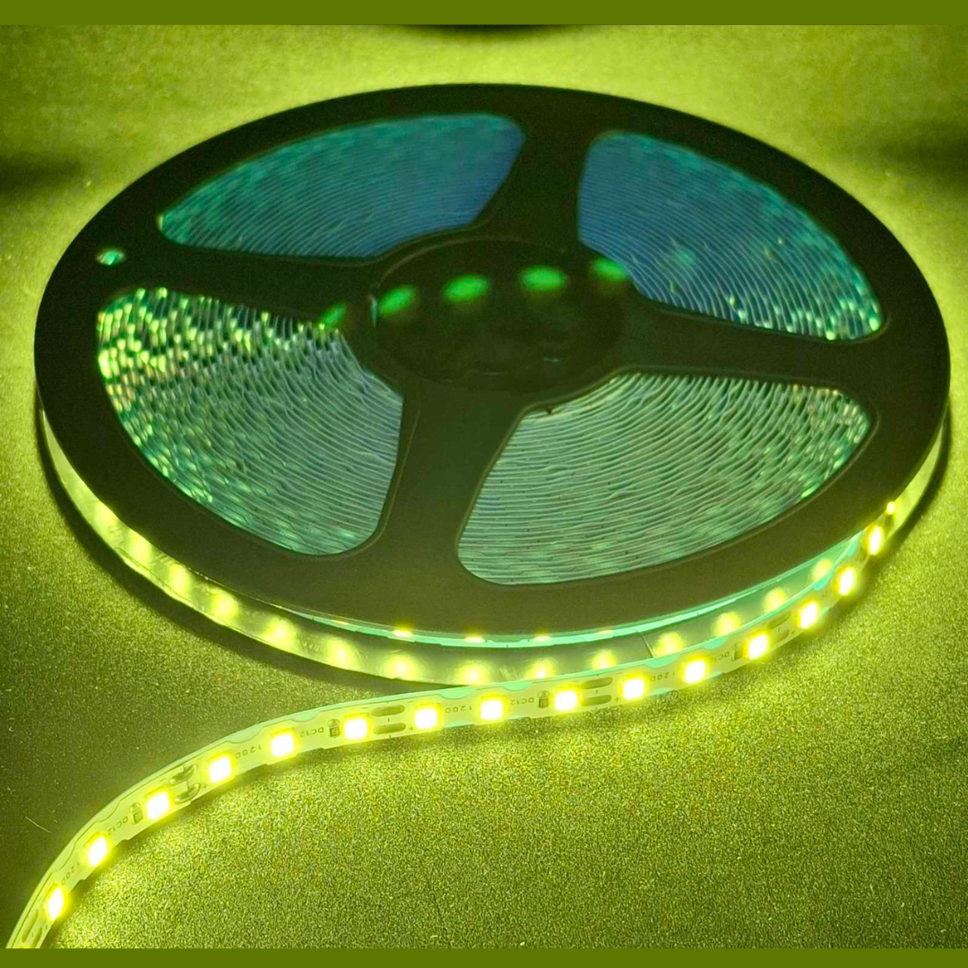 s_strichka_yellow_elfled_on