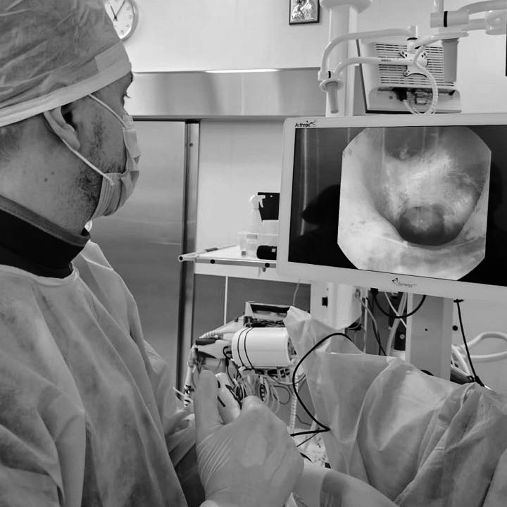 original-B1BB6F9D-4EE7-4853-ADEA-846A96FF9E1C