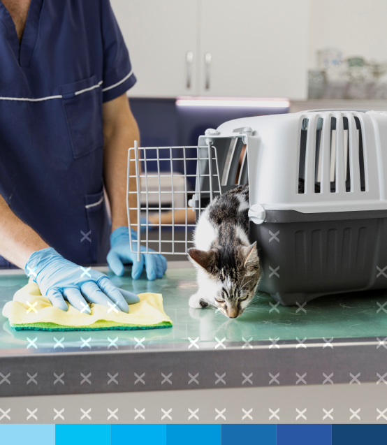 cursos_presenciais_21_limpeza_ambientes_veterinarios