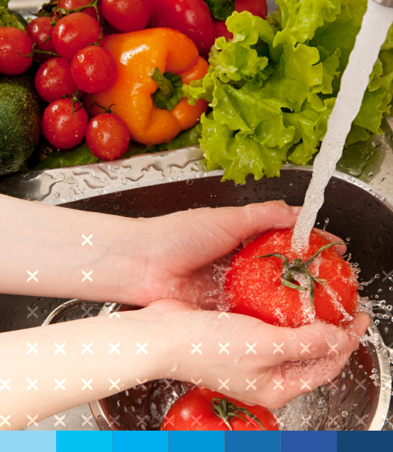 cursos_presenciais_31_Prticas_Essenciais_para_Segurana_Alimentar