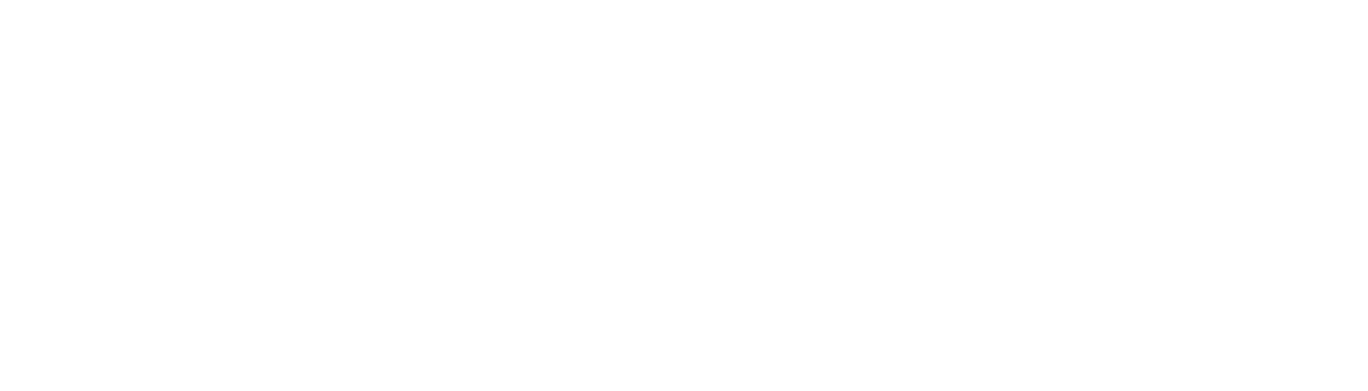 anavgator_logo_wordmark_white