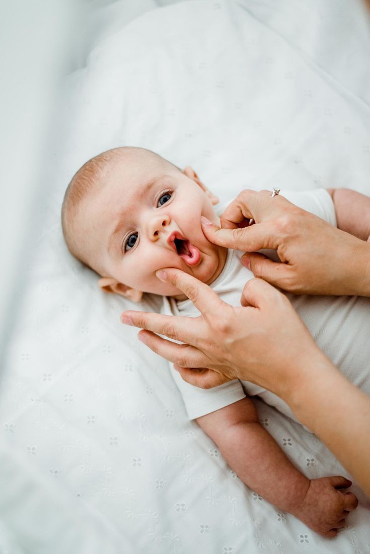 Strybky_zrostannia_2