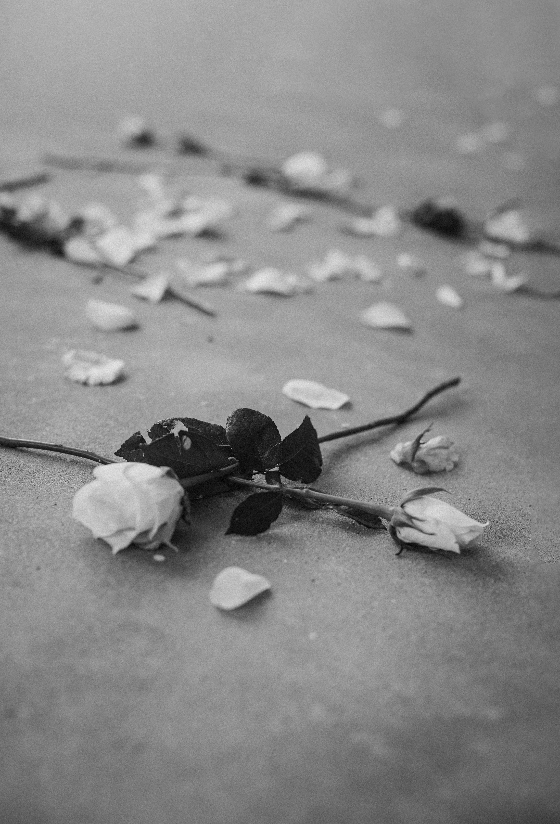 9C6A1749-Edit