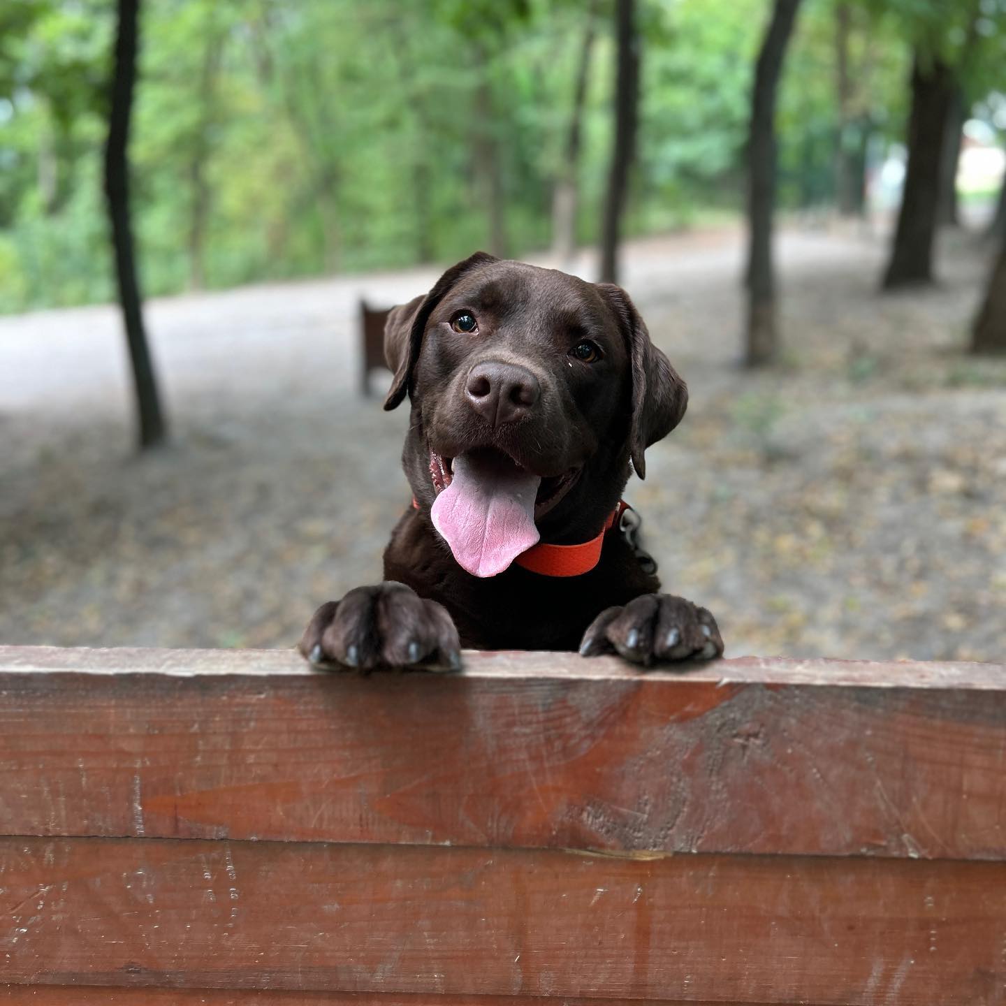 7c4f94023282d2969f172d68bd282e7f