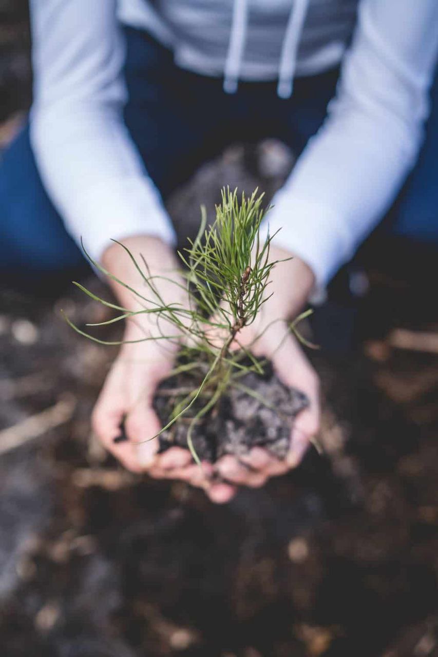 photo_2025-10-21_12-41-41