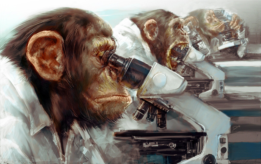 three_monkeys_damian_buzugbe