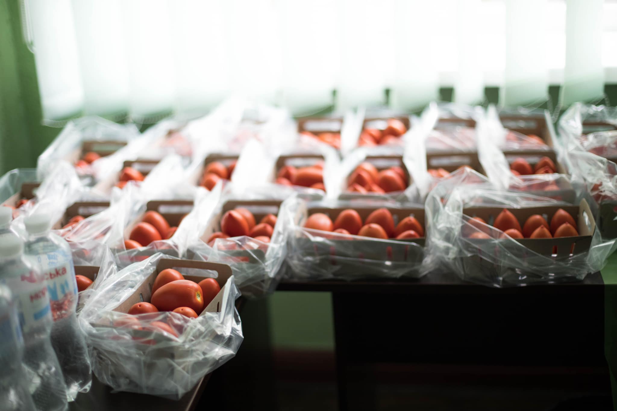 488705299_1177999424148691_4254310455443483610_n