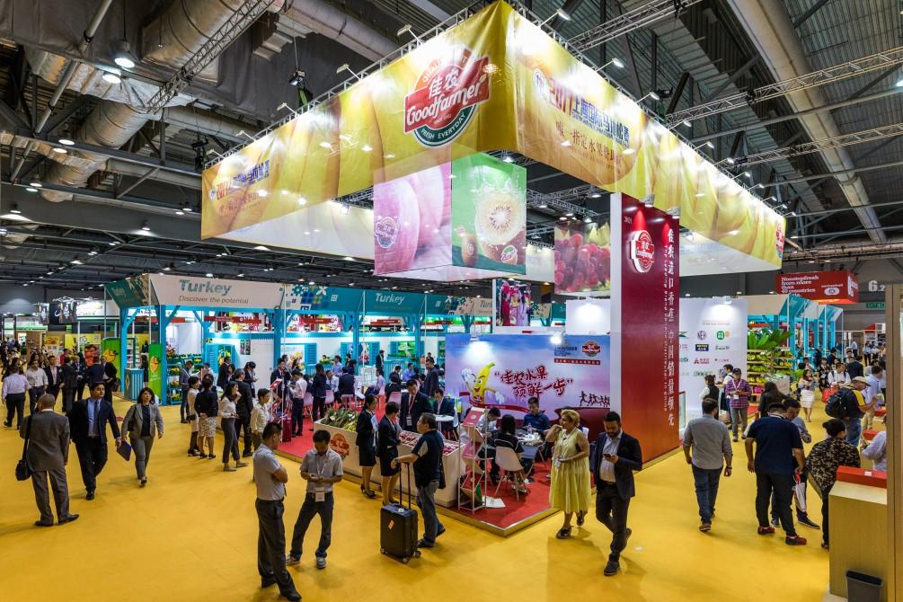 mam_293273_485392_Fancybox-de