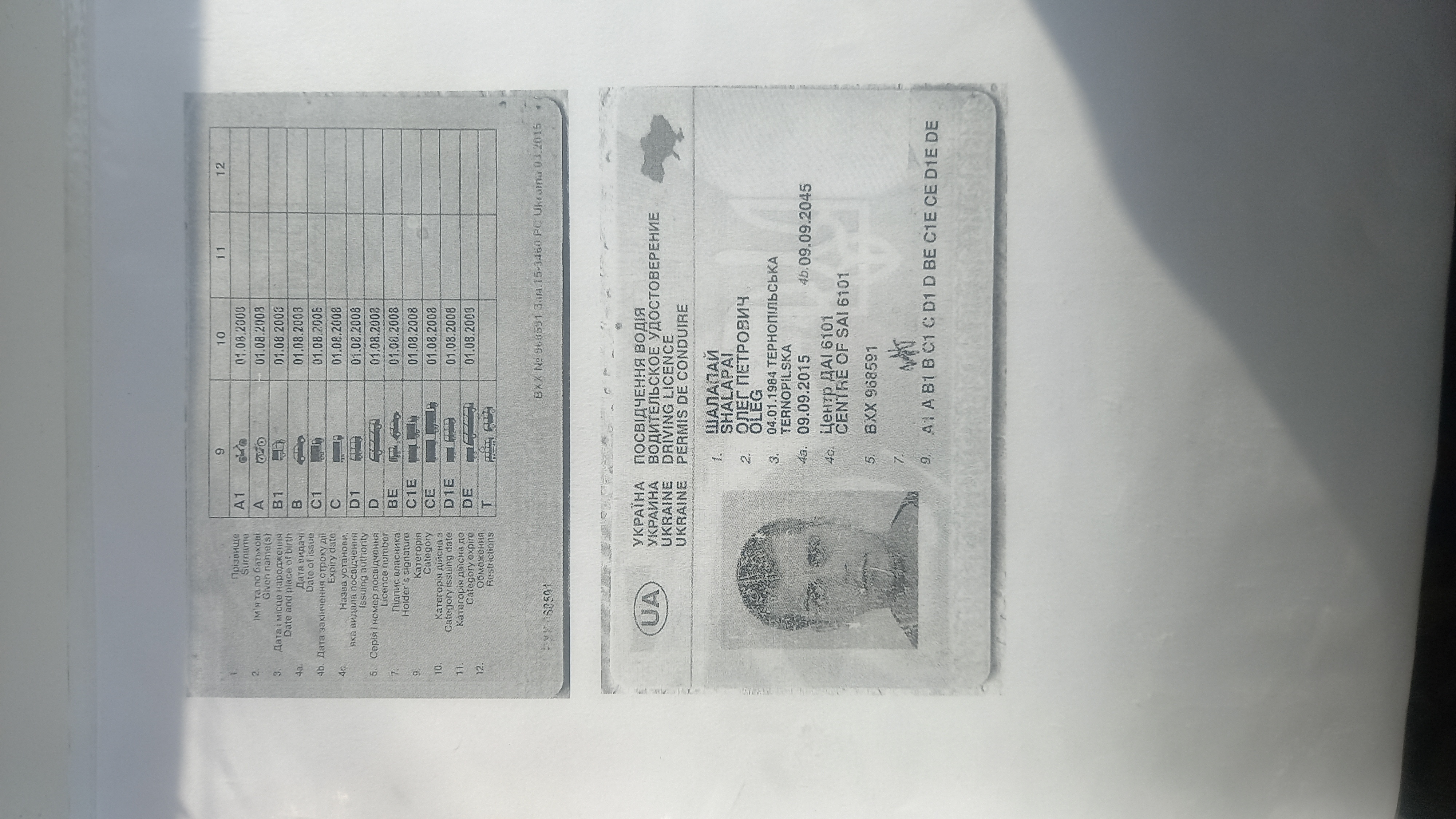 1740472357849715020303635781891_tilda38555760