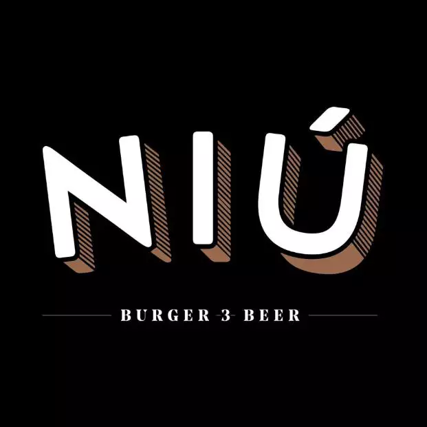 NI_-_LOGO
