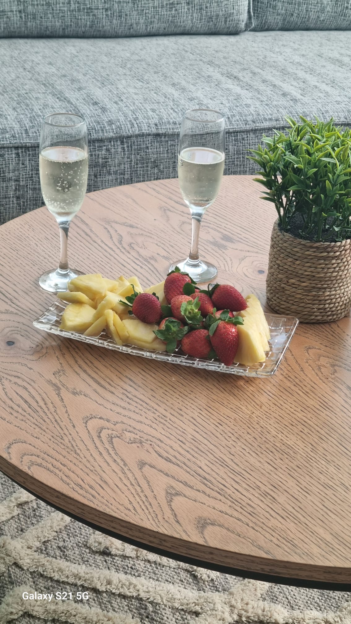 WhatsApp_Image_2024-12-02_at_10_26_36_1