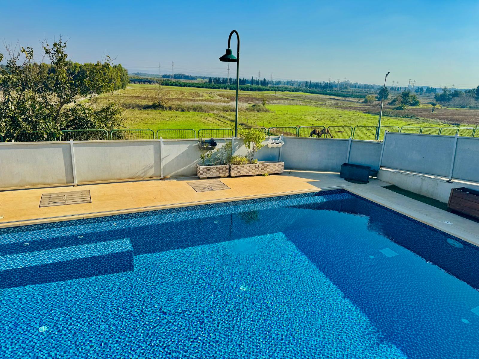 WhatsApp_Image_2024-12-02_at_14_12_22