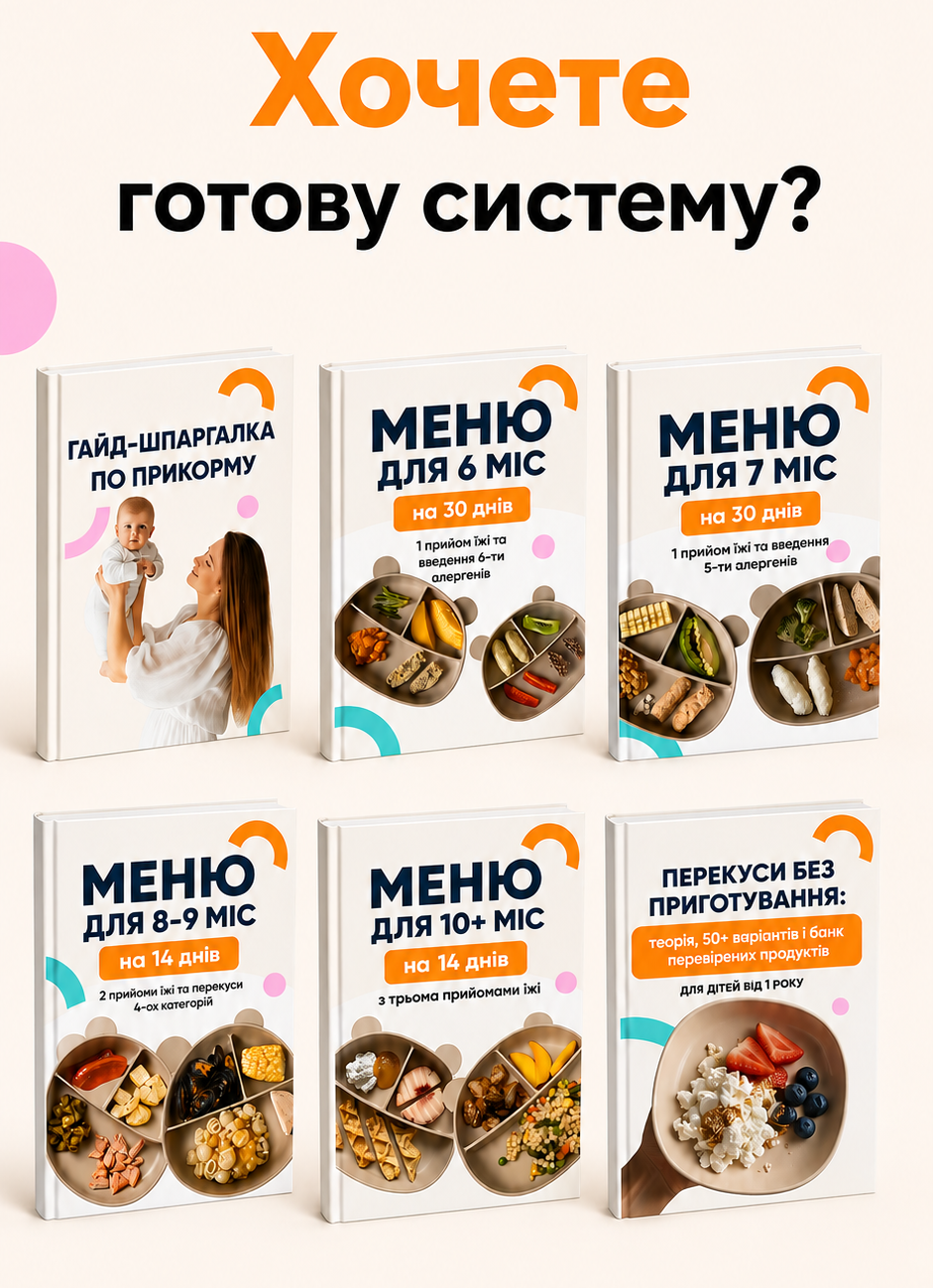 система