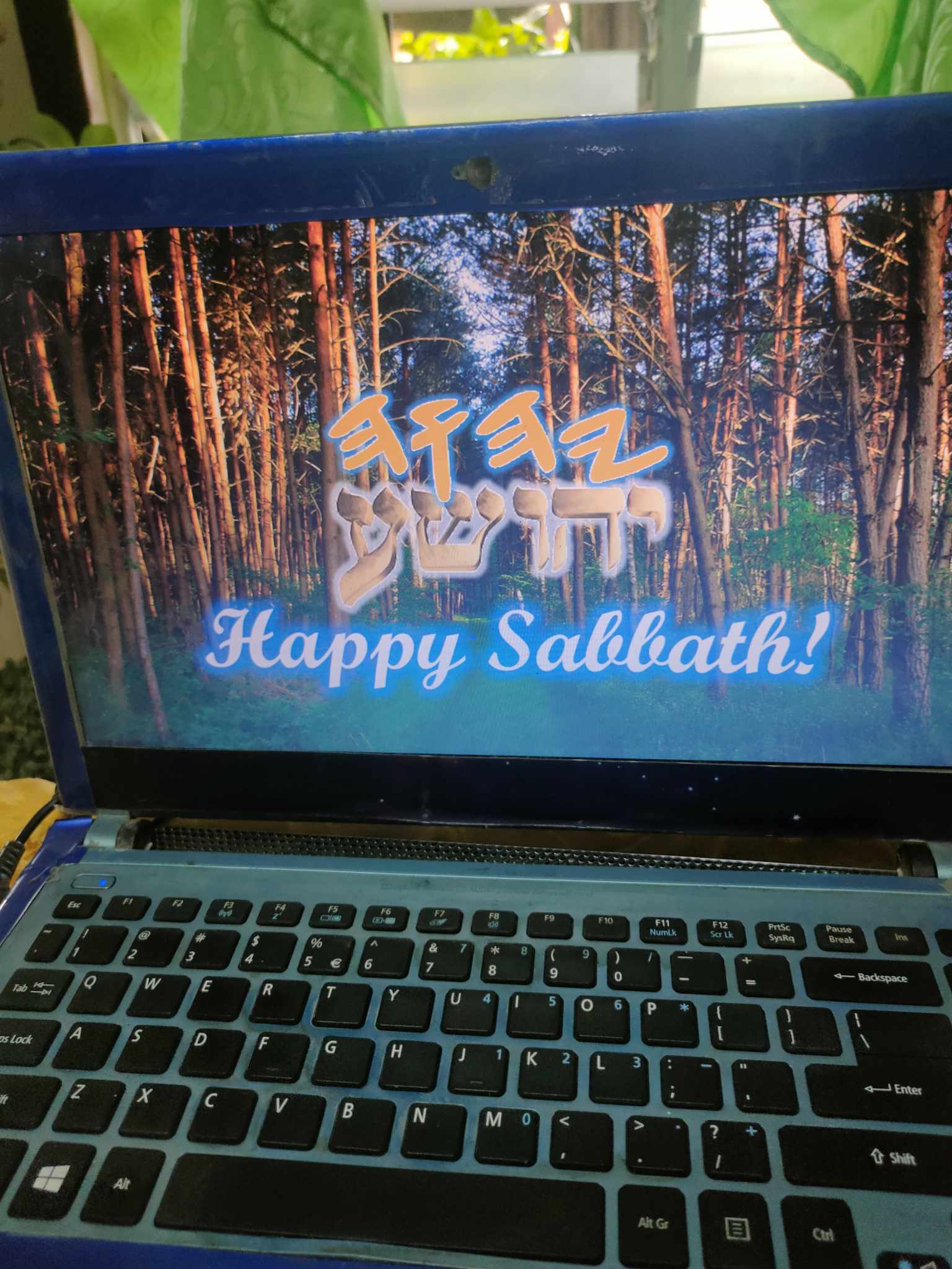 438065288_986105019794162_5297292967026403909_n