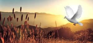 bannerYahshuaMessiah