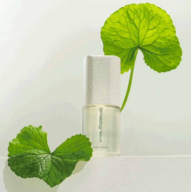 skincare-coreano-riman-chihuahua-beauty_jpg