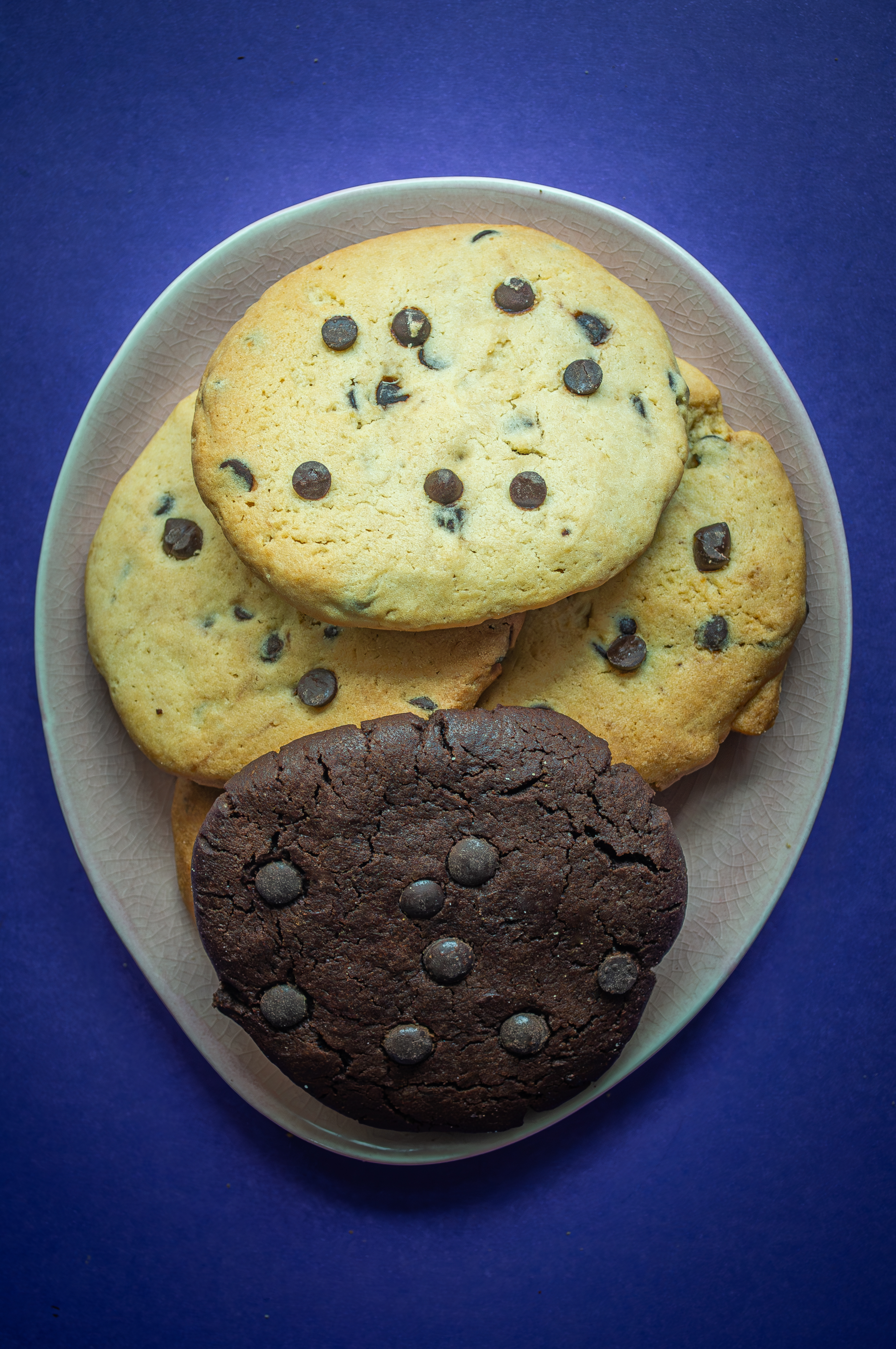 _DSC0340-Mejorado-NR