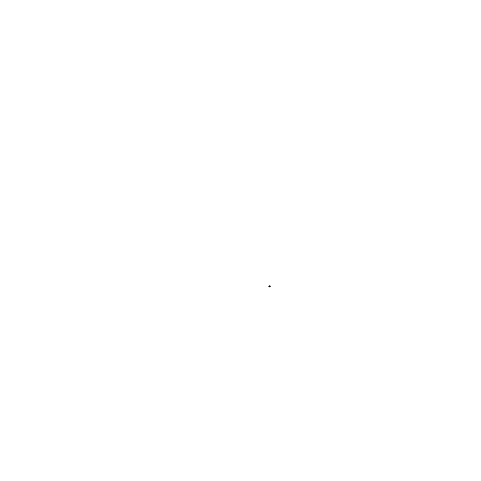 logo_-_NN_-_BELOE_-_bez_fona